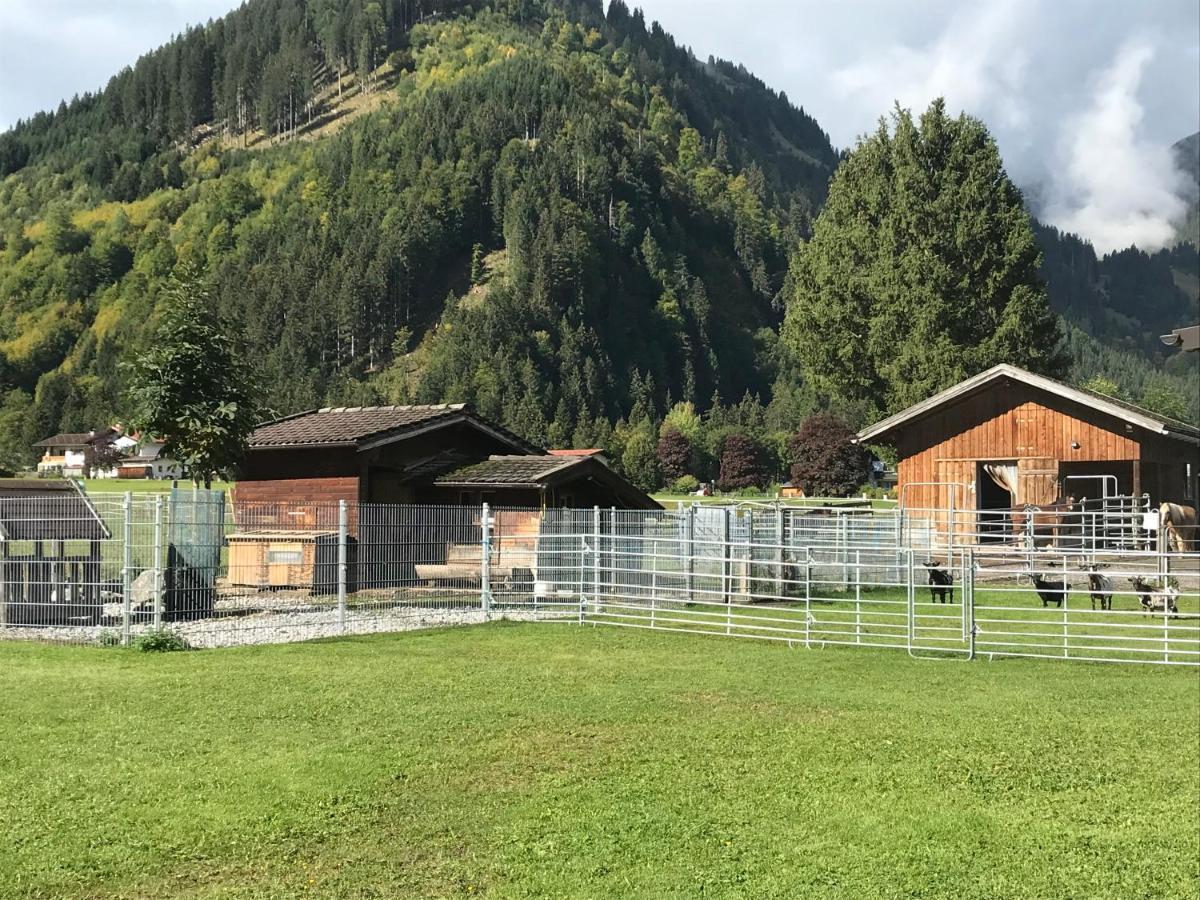 Pony-Ziegen-Hasen-Ranch Bichlbach Apartman Kültér fotó