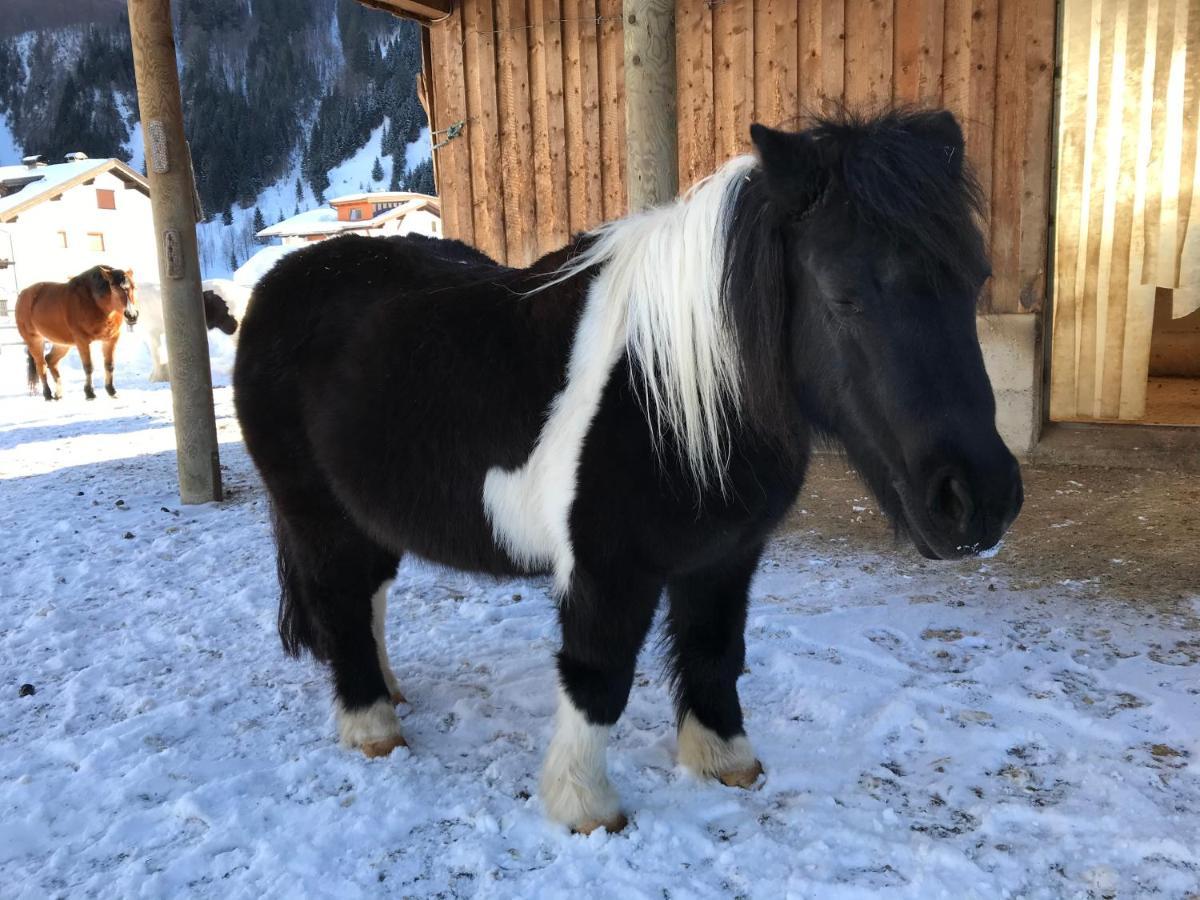 Pony-Ziegen-Hasen-Ranch Bichlbach Apartman Kültér fotó