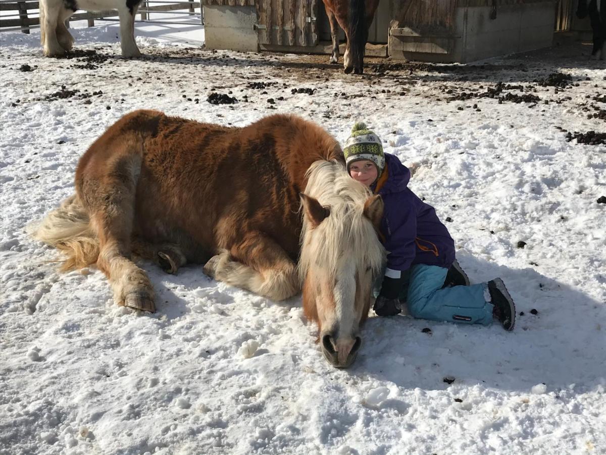 Pony-Ziegen-Hasen-Ranch Bichlbach Apartman Kültér fotó