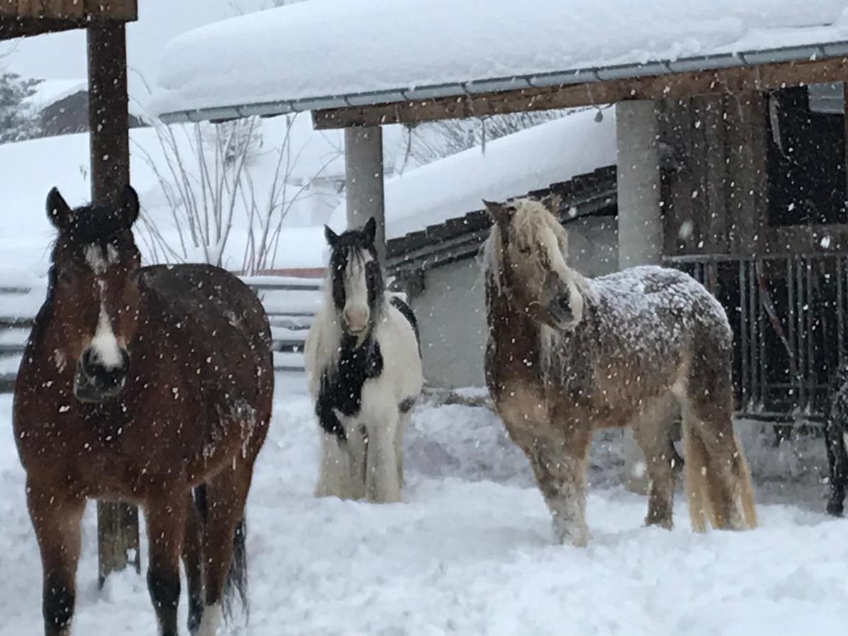 Pony-Ziegen-Hasen-Ranch Bichlbach Apartman Kültér fotó