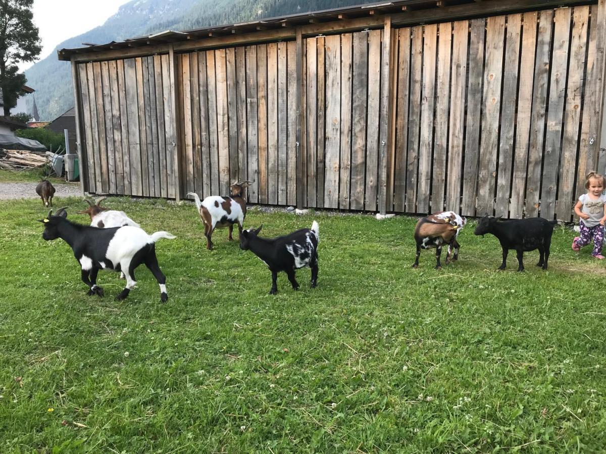 Pony-Ziegen-Hasen-Ranch Bichlbach Apartman Kültér fotó