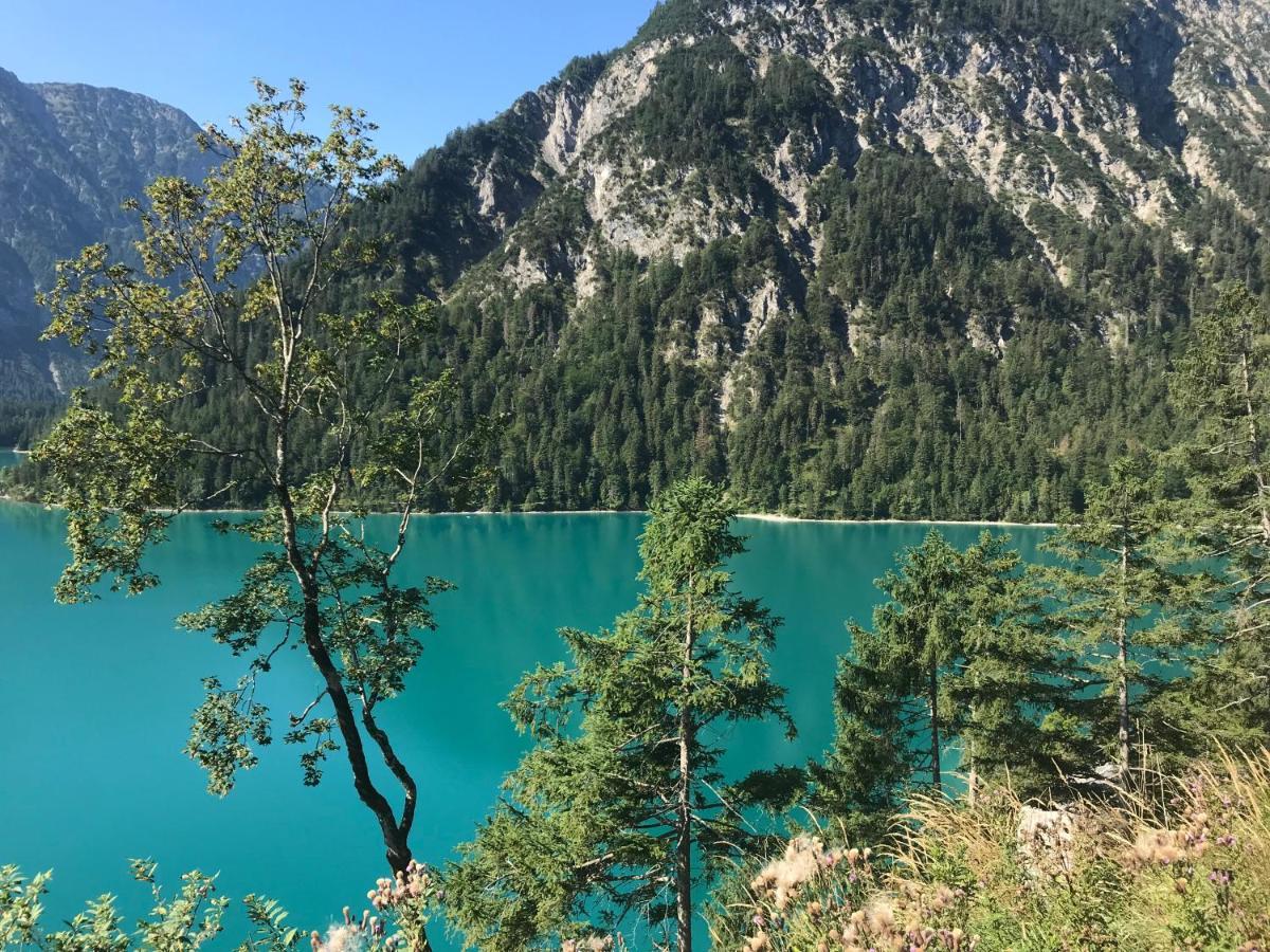 Pony-Ziegen-Hasen-Ranch Bichlbach Apartman Kültér fotó