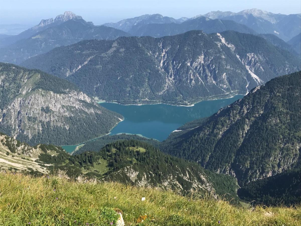 Pony-Ziegen-Hasen-Ranch Bichlbach Apartman Kültér fotó